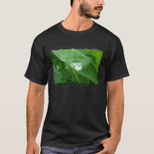 ECO FRIENDLY VATTEN CONSERVATION Gifts & Gear Tröja