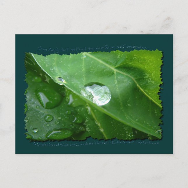 ECO FRIENDLY VATTEN CONSERVATION Gifts & Gear Vykort (Framsida)