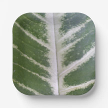 Eco Harmony 7-tums Papper plåt med kvadrat