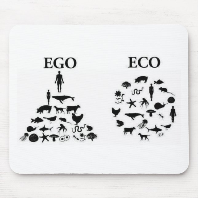 Eco vs Ego Musmatta (Framsidan)