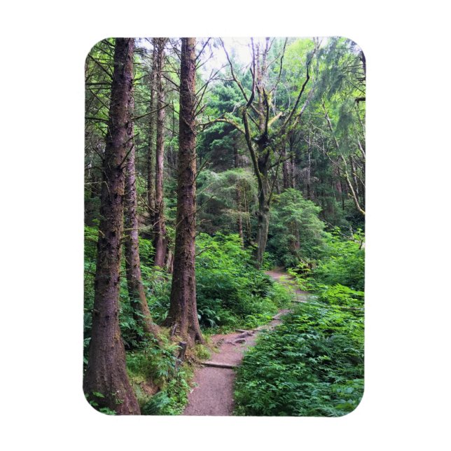 Ecola State Park, Cannon Beach, Oregon Magnet (Vertikal)