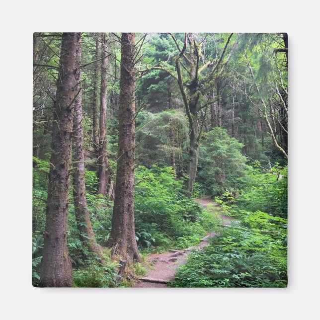 Ecola State Park, Cannon Beach, Oregon Magnet (Framsidan)