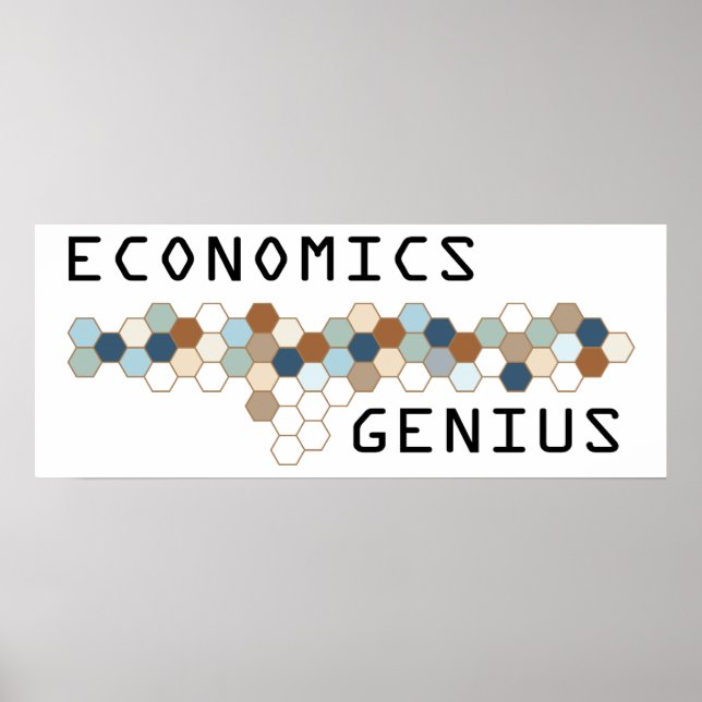 Economics Genius Poster (Framsidan)