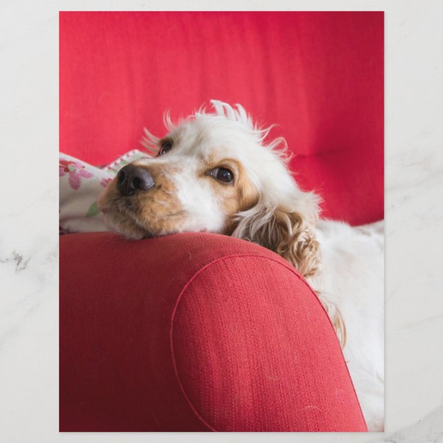 ecs orange och vit kyld (Framsida)