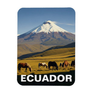 Ecuador Cotopaxi nationalpark resa Magnet