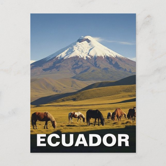 Ecuador Cotopaxi nationalpark resa Vykort (Framsida)