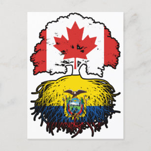 Ecuador Ecuadorian Canadian Canada Träd Roots Flag Vykort