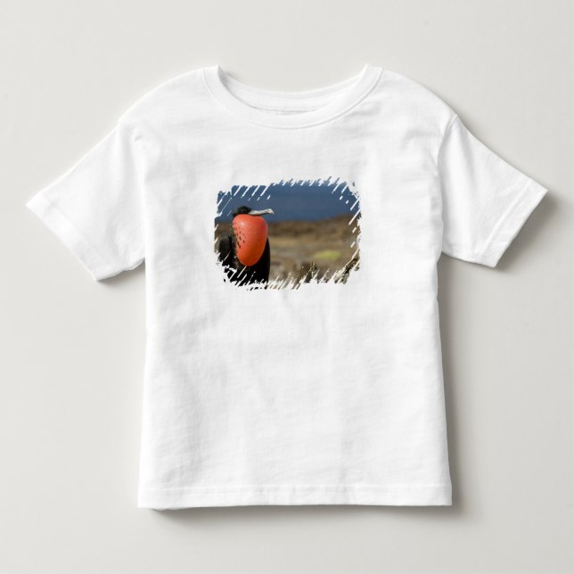 Ecuador, Galapagos, Genovesa Island. Prins Tee Shirt (Framsida)