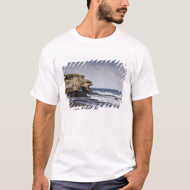 Ecuador, Galapagos, Santiago alias James). T-shirt (Framsida)