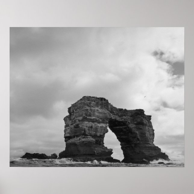 Ecuador, Galapagosöarna, Darwin Island, Vågar Poster (Framsidan)