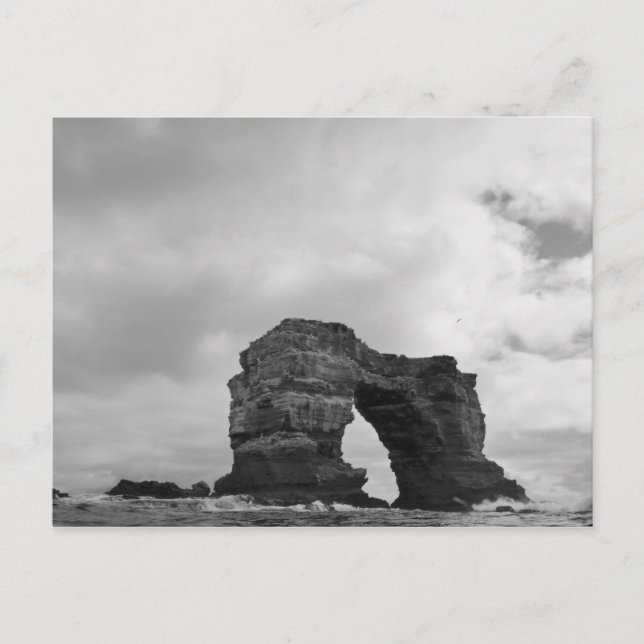 Ecuador, Galapagosöarna, Darwin Island, Vågar Vykort (Framsida)