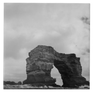 Ecuador, Galapagosöarna, Darwin Island, Vågor Kakelplatta