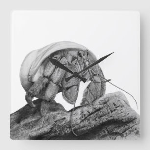 Ecuadorian Hermit Crab Coenobita Compressus Clock Fyrkantig Klocka