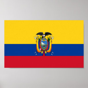 Ecuadors flagga poster