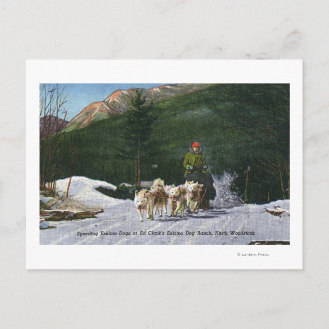 Ed Clark's Eskimo Hund Ranch, Dogsledding Vykort (Framsida)
