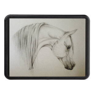 Ed G Trailer hitch-lock Dragkroksskydd