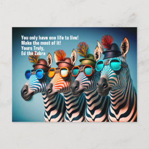 Ed the Zebra - Lustigt att göra det mesta möjliga Vykort