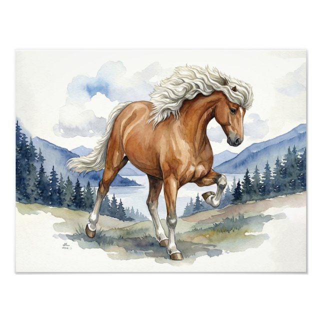 Edda Silver bay Icelandic Horse in the Mountains S Fototryck (Framsidan)