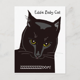 Eddie Baby Cat vykort