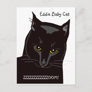 Eddie Baby Cat vykort
