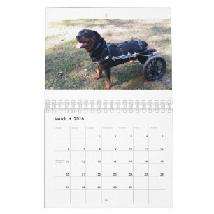 Eddies hjul 2016 kalender