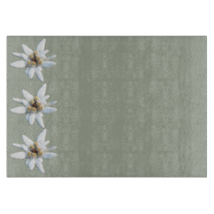 Edelweiss alpin blomma