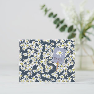 Edelweiss Alpin Vildblomma Handillustrerad Boho Tack Kort