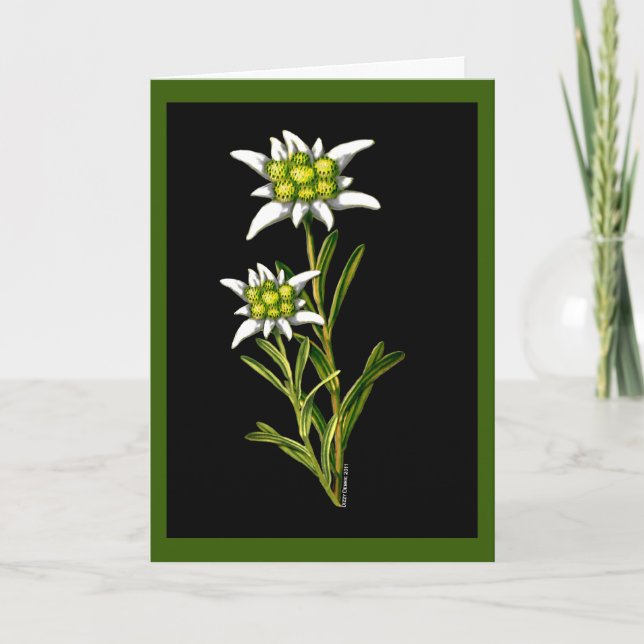 Edelweiss beställnings- hälsningkort kort (Framsida)