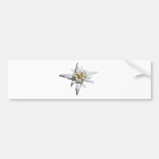 Edelweiss Bildekal (Framsidan)