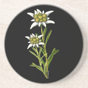 Edelweiss blom- kustfartyg underlägg