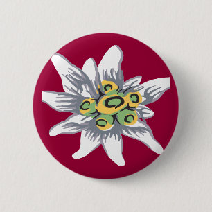 Edelweiss blomma knapp