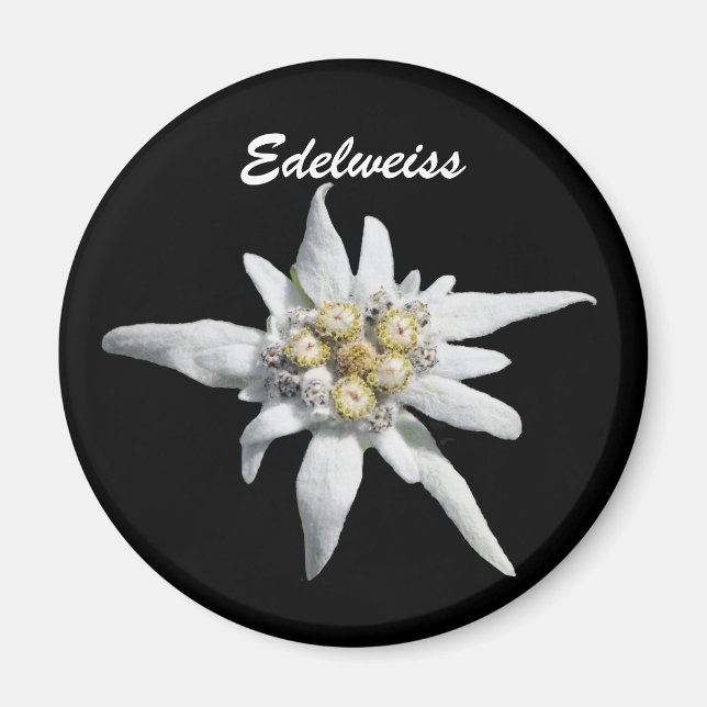 Edelweiss Flower Bloom Magnet (Framsidan)