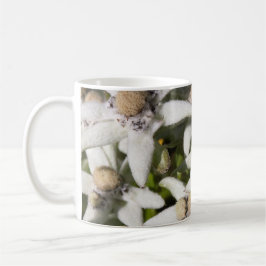 Edelweiss Flower Mugg