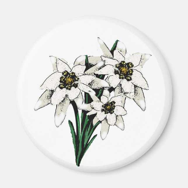 Edelweiss Flowers Magnet (Framsidan)