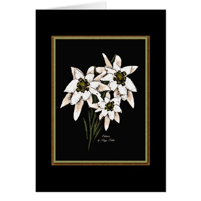 Edelweiss Flowers OBS Kort (Framsidan)