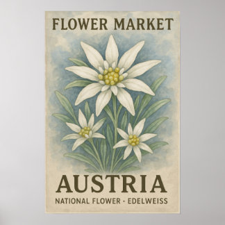 Edelweiss konsttryck Österrikes nationella blomma Poster