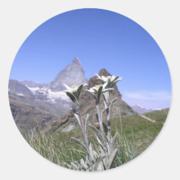 Edelweiss och Matterhorn Runt Klistermärke