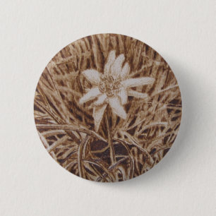 Edelweiss - Stella Alpina Knapp