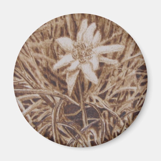 Edelweiss - Stella alpina Magnet (Framsidan)