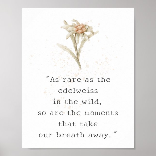 Edelweiss Wildblomma Poster (Framsidan)