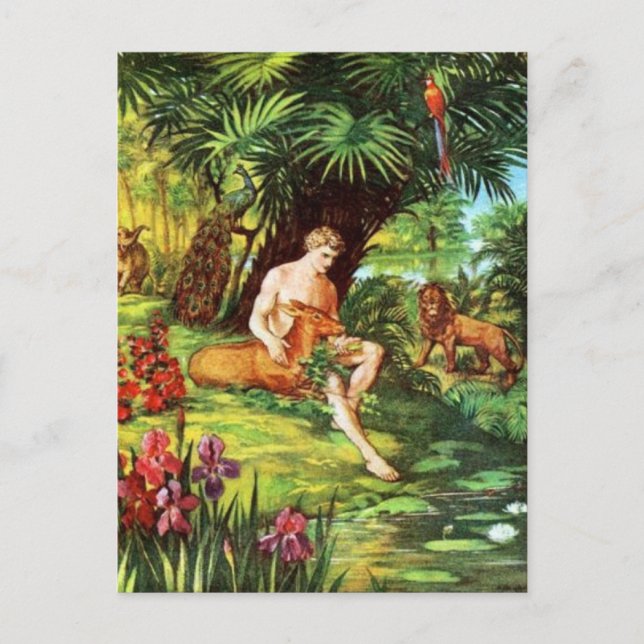 Eden Adams i trädgården Vykort (Framsida)