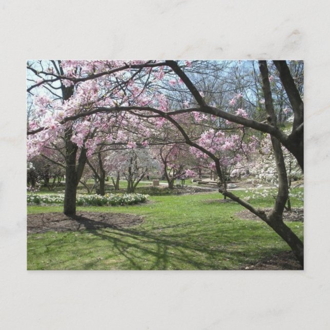 Eden Park Cincinnati, Ohio i Vår Vykort (Framsida)