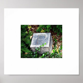 EDGAR ALLAN POE FOT MARKER BALTIMORE MD 021911 POSTER