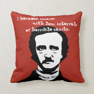 Edgar Allan Poe sinnessjuk Kudde
