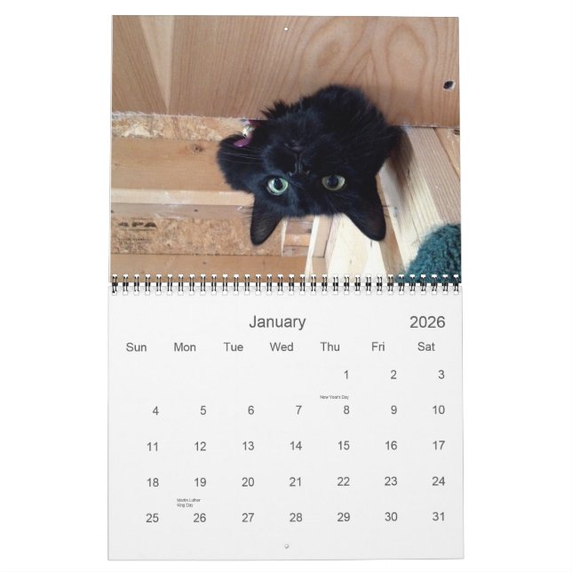 Edgar, Obi och Adara kattkalender 2015 Kalender (Jan 2026)