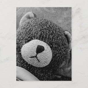 Edgar Shadows Sweet Teddy! Vykort