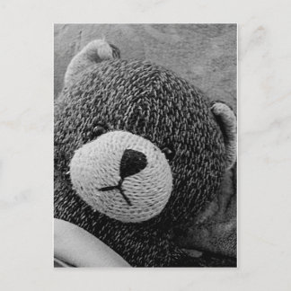 Edgar Shadows Sweet Teddy! Vykort