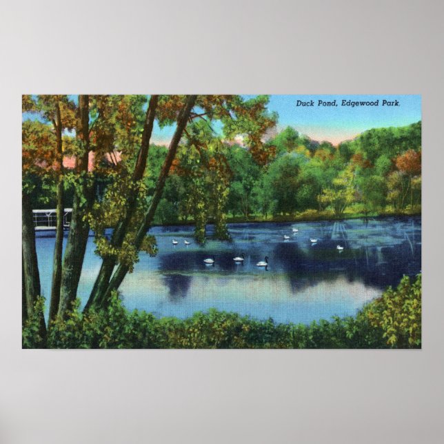 Edgewood Park View of the Anka Pond Poster (Framsidan)