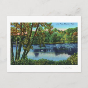 Edgewood Park View of the Anka Pond Vykort