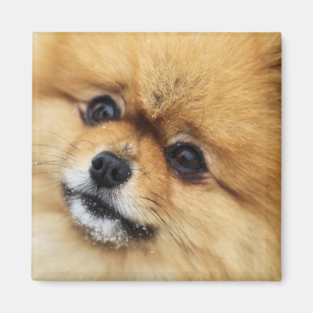 Edgrr #1 magnet (Framsidan)